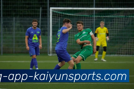 开云体育平台生态图